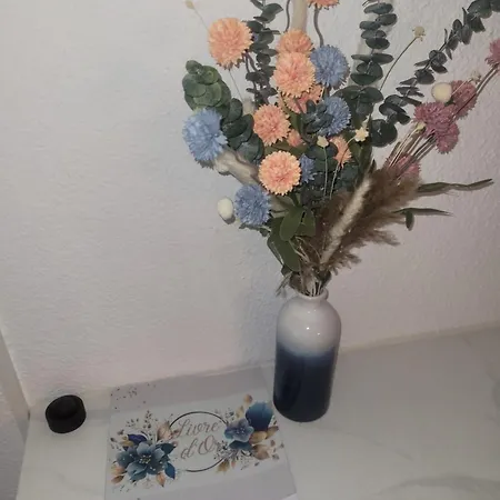 Avec Jardin Proche Lägenhet La Ciotat